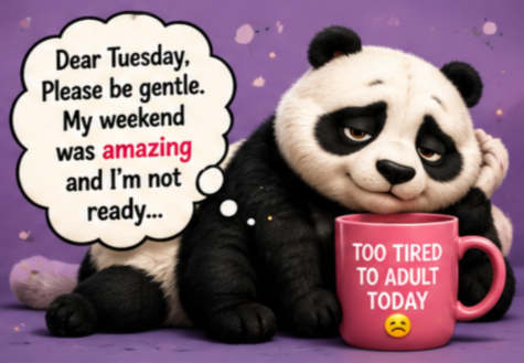 Funny Happy Tuesday Meme