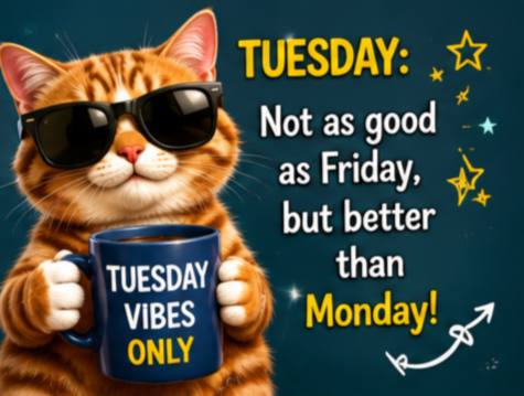 350_happy_tuesday_meme_funny_tuesday_memes_work_memes