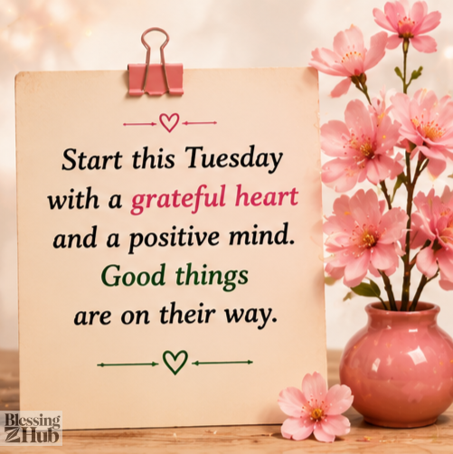 Good Morning Happy Tuesday Blessings