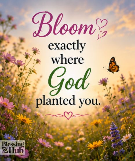 friday_morning_greetings_and_blessings