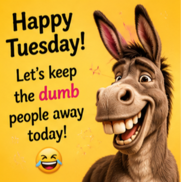 350_happy_tuesday_meme_funny_tuesday_memes_work_memes